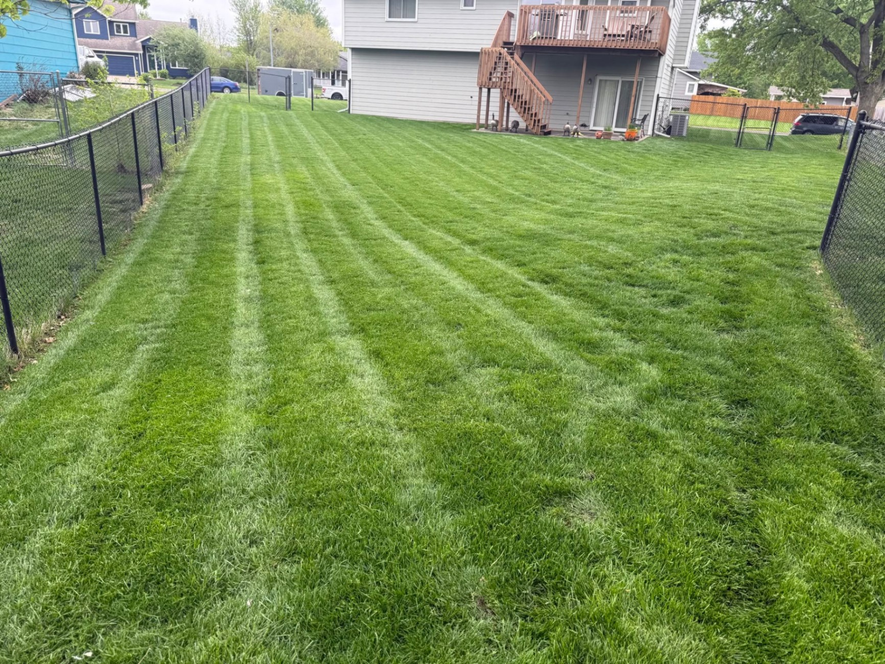 Freshly mowed lawn with crisp stripes in warm afternoon light